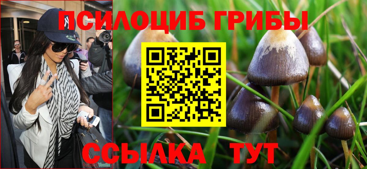 Галлюциногенные грибы мицелий  Вход с VPN  Калуга 