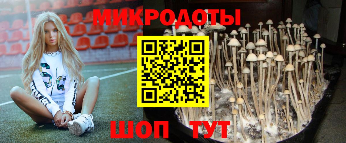 Галлюциногенные грибы MAGIC MUSHROOMS Калуга